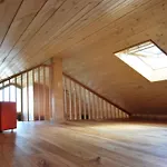 Feldrain By Interhome Semesterbostad Zierow