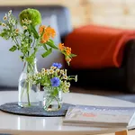 Feldrain By Interhome Zierow